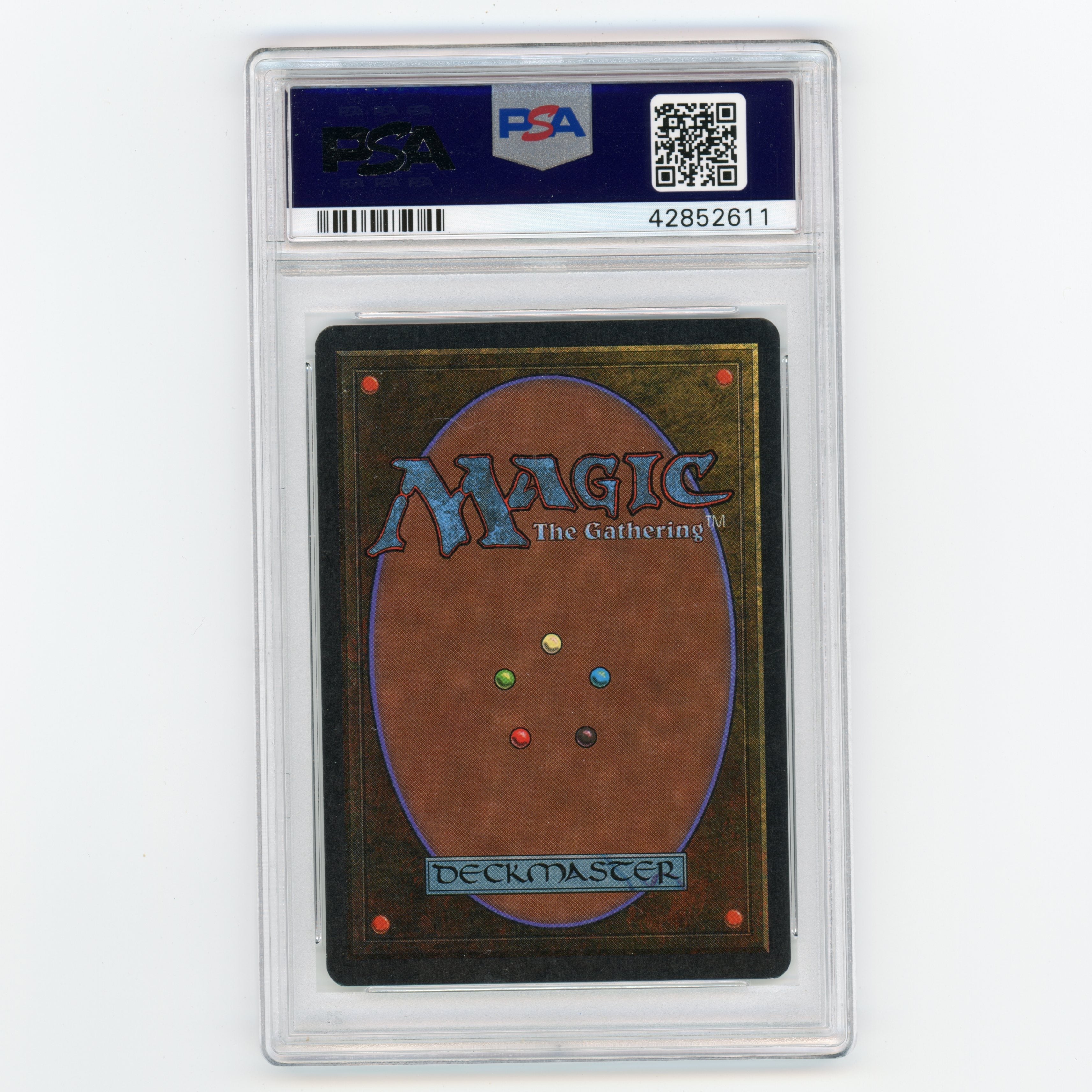 1993 Magic The Gathering Mark Poole Island Unlimited PSA Authentic Auto 10 (#MW8023)